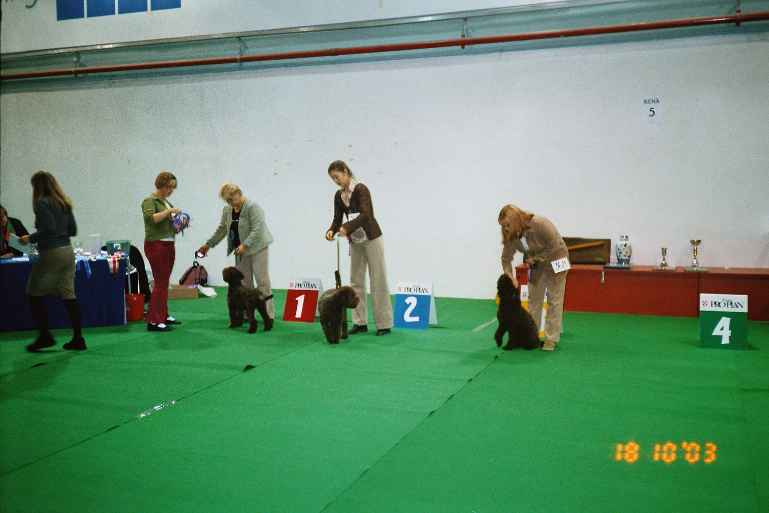 image001_1a.jpg