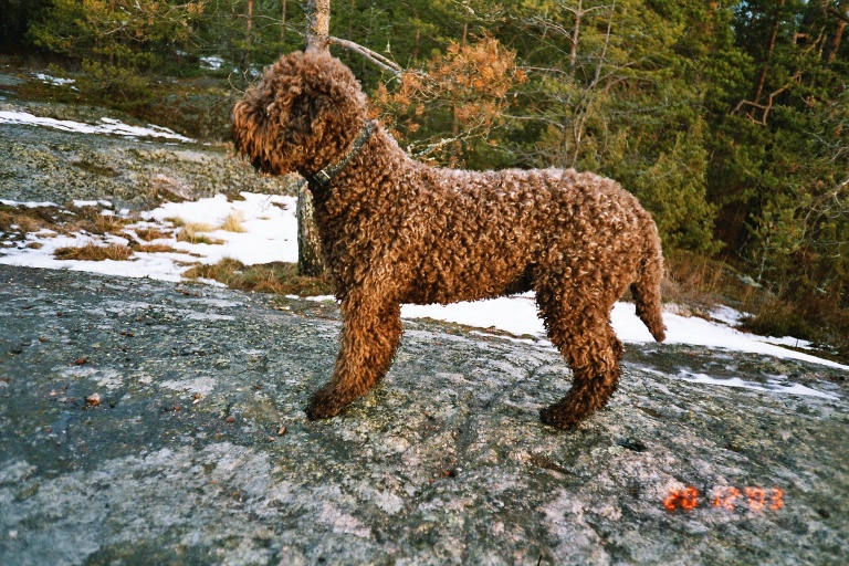 image004_5a.jpg